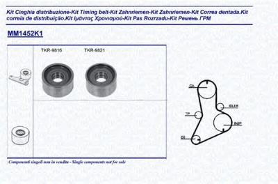 MAGNETI MARELLI 341314521101 -  Комплект ремня ГРМ